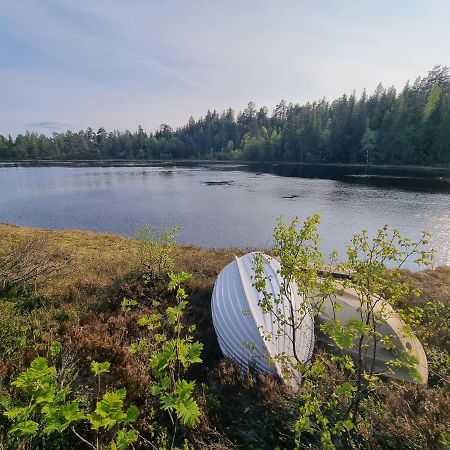 Solhytta Fantastisk Beliggenhet! Hytte Til Leie Pa Skrim! Конгсберг Экстерьер фото