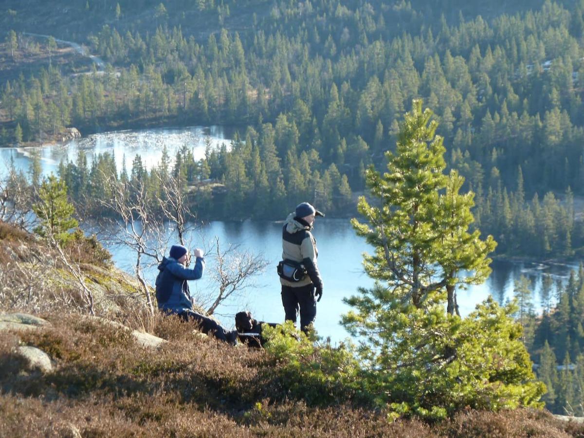 Solhytta Fantastisk Beliggenhet! Hytte Til Leie Pa Skrim! Конгсберг Экстерьер фото