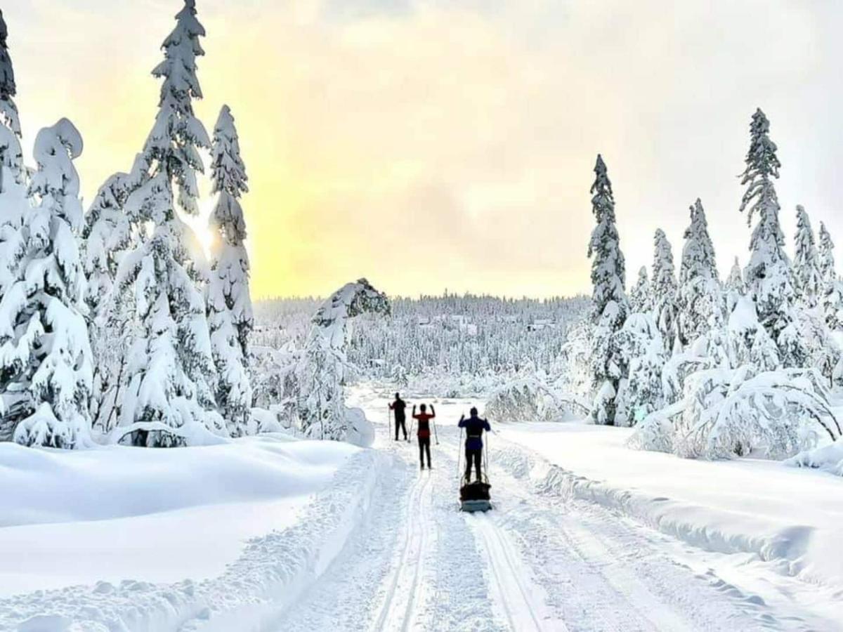 Solhytta Fantastisk Beliggenhet! Hytte Til Leie Pa Skrim! Конгсберг Экстерьер фото