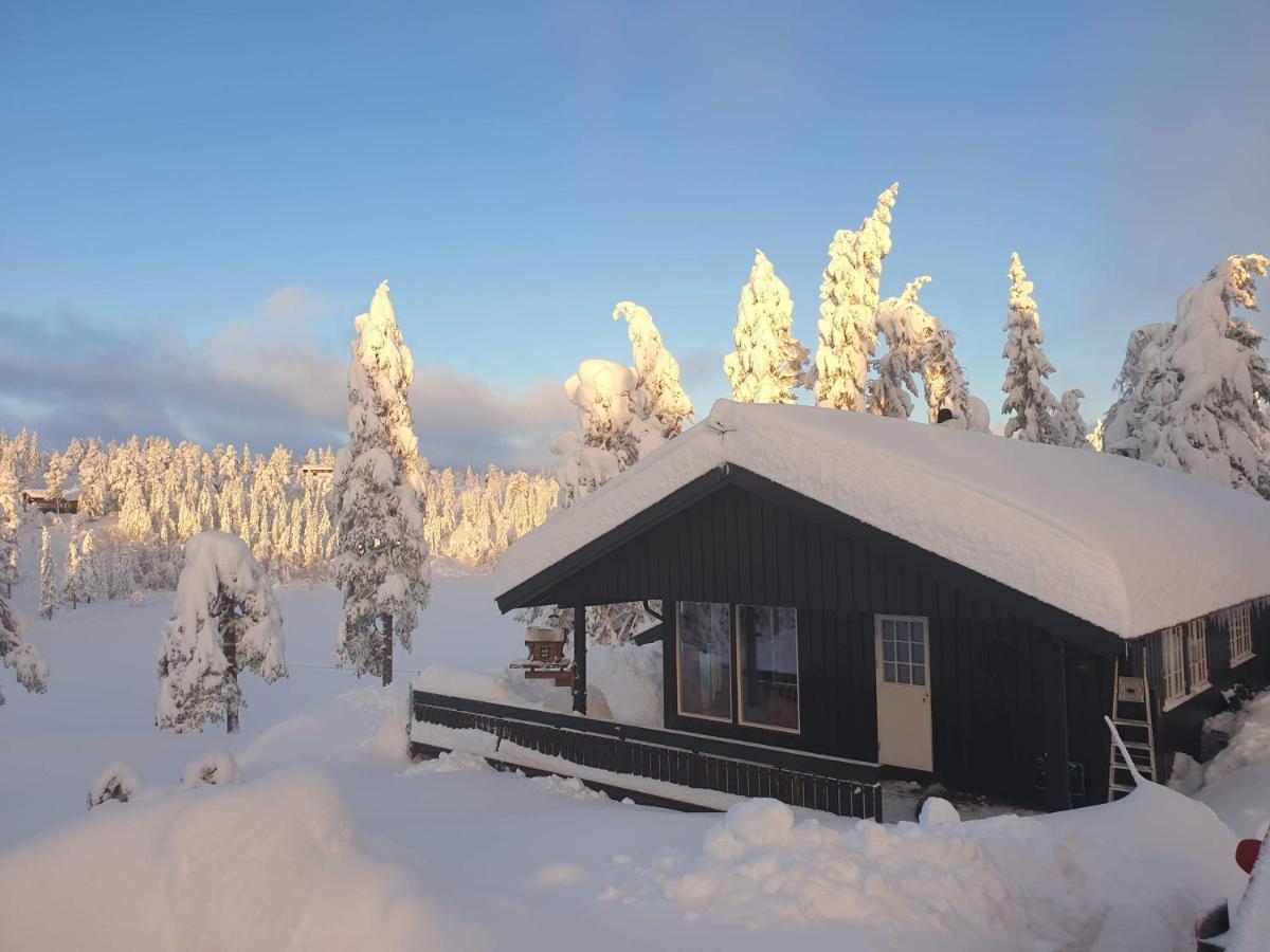 Solhytta Fantastisk Beliggenhet! Hytte Til Leie Pa Skrim! Конгсберг Экстерьер фото