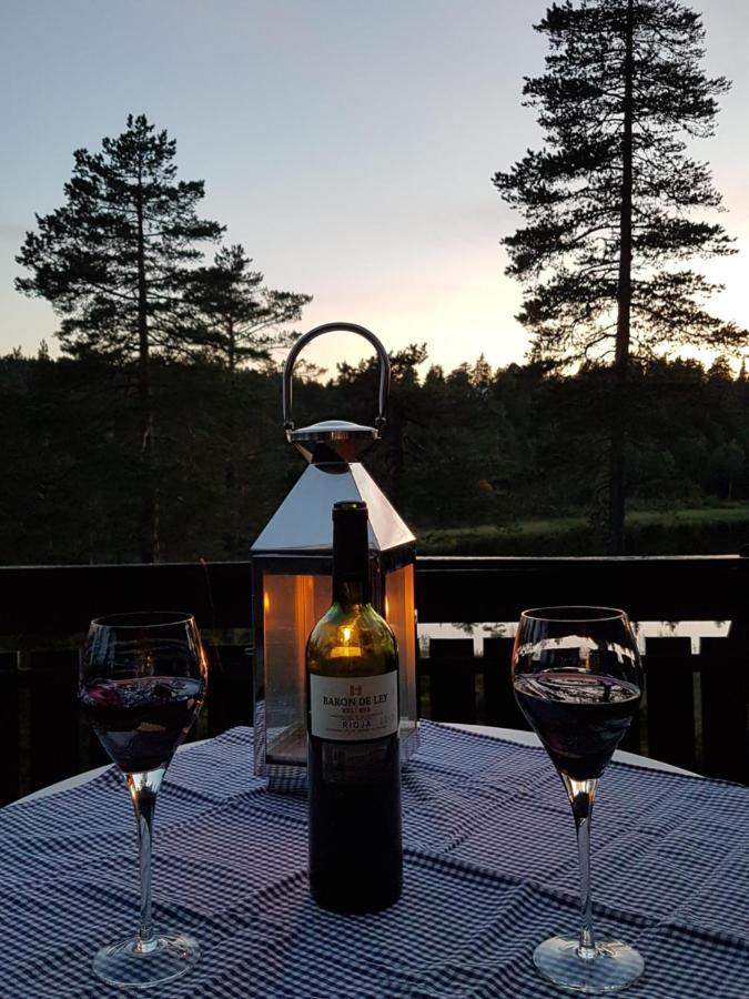Solhytta Fantastisk Beliggenhet! Hytte Til Leie Pa Skrim! Конгсберг Экстерьер фото