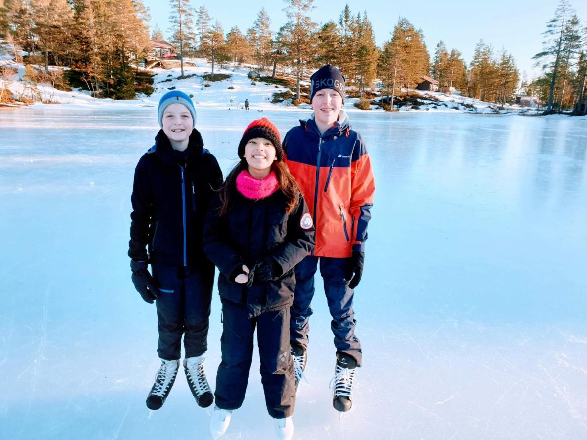 Solhytta Fantastisk Beliggenhet! Hytte Til Leie Pa Skrim! Конгсберг Экстерьер фото