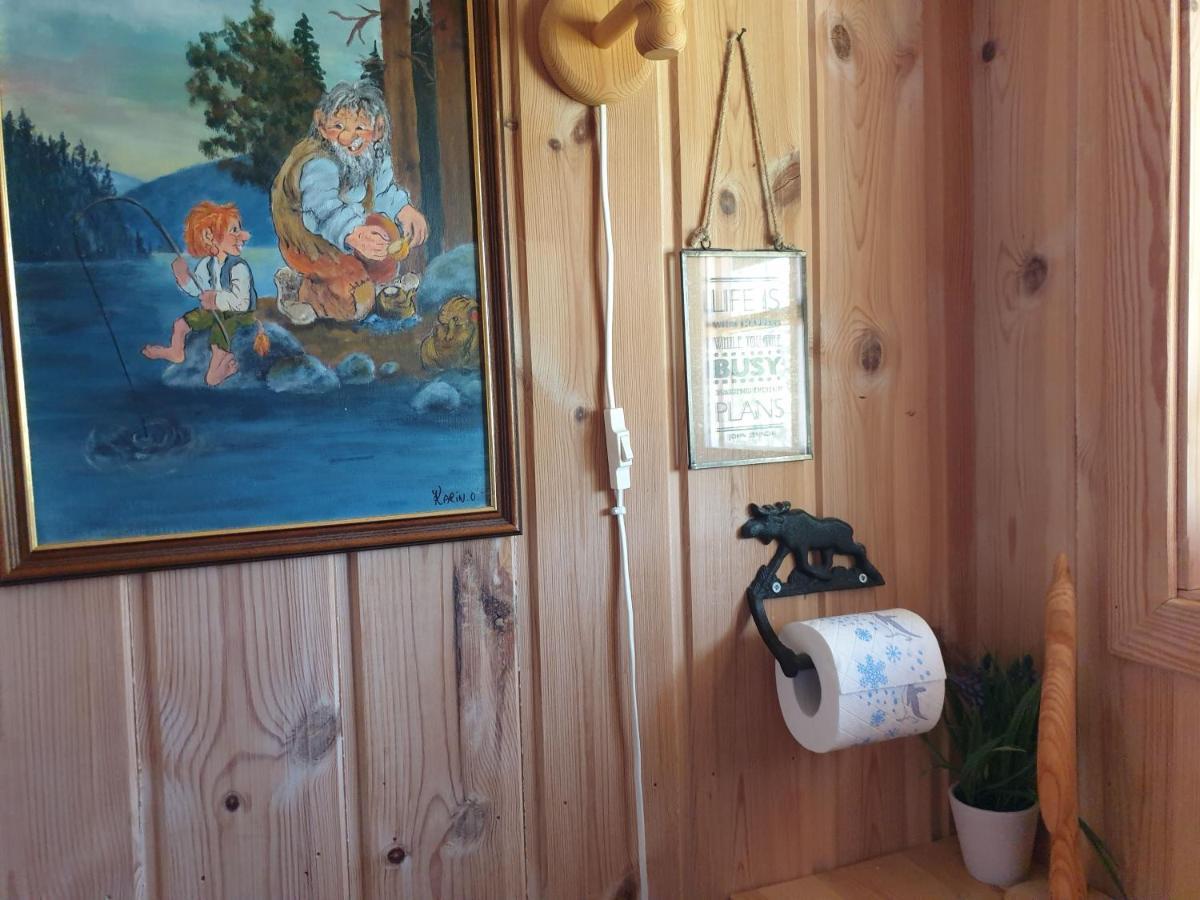 Solhytta Fantastisk Beliggenhet! Hytte Til Leie Pa Skrim! Конгсберг Экстерьер фото